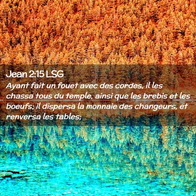 Picture 02 - Jean 2:15 LSG - Ayant fait un fouet avec des cordes, il les - Bible Verse Picture