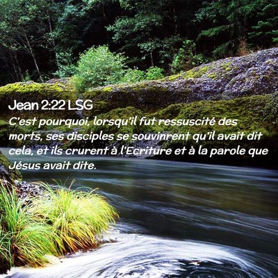 Picture 02 - Jean 2:22 LSG - C'est pourquoi, lorsqu'il fut ressuscité des - Bible Verse Picture