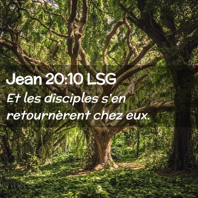Picture 02 - Jean 20:10 LSG - Et les disciples s'en retournèrent chez - Bible Verse Picture