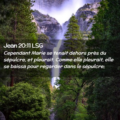 Picture 02 - Jean 20:11 LSG - Cependant Marie se tenait dehors près du - Bible Verse Picture