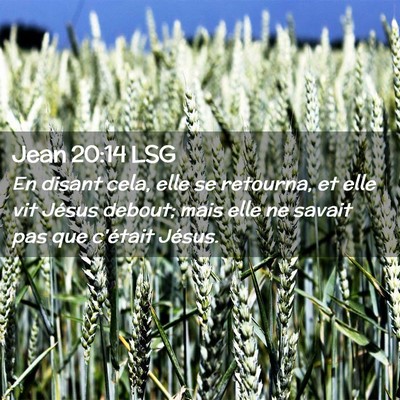 Picture 02 - Jean 20:14 LSG - En disant cela, elle se retourna, et elle vit - Bible Verse Picture