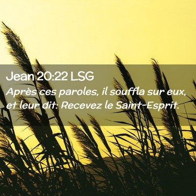 Picture 02 - Jean 20:22 LSG - Après ces paroles, il souffla sur eux, et leur - Bible Verse Picture