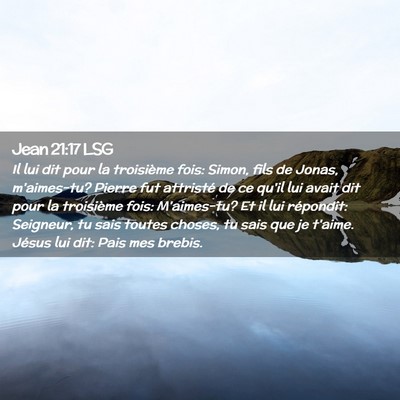 Picture 02 - Jean 21:17 LSG - Il lui dit pour la troisième fois: Simon, fils - Bible Verse Picture