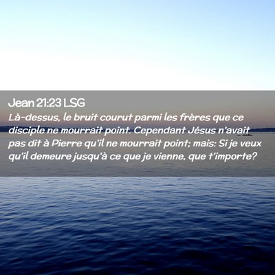 Picture 02 - Jean 21:23 LSG - Là-dessus, le bruit courut parmi les frères que - Bible Verse Picture