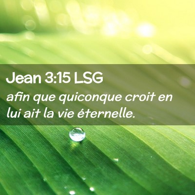 Picture 02 - Jean 3:15 LSG - afin que quiconque croit en lui ait la vie - Bible Verse Picture