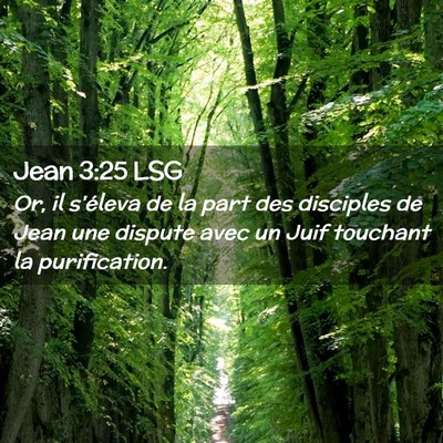 Picture 02 - Jean 3:25 LSG - Or, il s'éleva de la part des disciples de Jean - Bible Verse Picture
