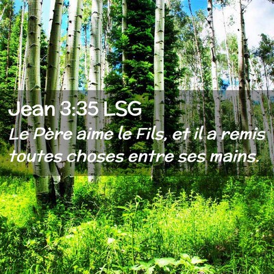 Picture 02 - Jean 3:35 LSG - Le Père aime le Fils, et il a remis toutes - Bible Verse Picture