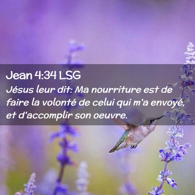 Picture 02 - Jean 4:34 LSG - Jésus leur dit: Ma nourriture est de faire la - Bible Verse Picture