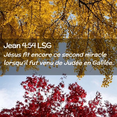 Picture 02 - Jean 4:54 LSG - Jésus fit encore ce second miracle lorsqu'il fut - Bible Verse Picture
