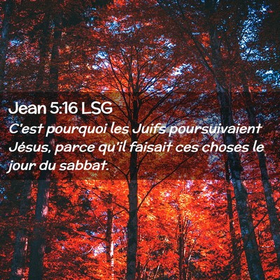 Picture 02 - Jean 5:16 LSG - C'est pourquoi les Juifs poursuivaient Jésus, - Bible Verse Picture