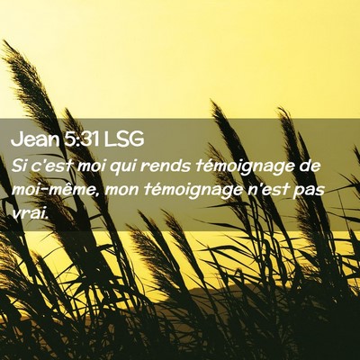 Picture 02 - Jean 5:31 LSG - Si c'est moi qui rends témoignage de moi-même, - Bible Verse Picture