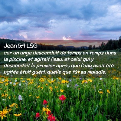 Picture 02 - Jean 5:4 LSG - car un ange descendait de temps en temps dans la - Bible Verse Picture
