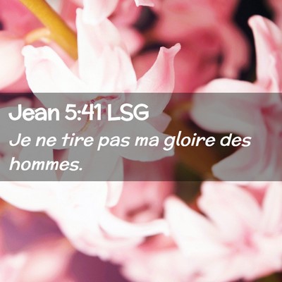 Picture 02 - Jean 5:41 LSG - Je ne tire pas ma gloire des - Bible Verse Picture