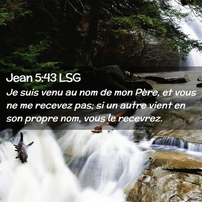 Picture 02 - Jean 5:43 LSG - Je suis venu au nom de mon Père, et vous ne me - Bible Verse Picture