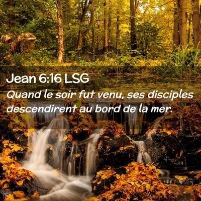 Picture 02 - Jean 6:16 LSG - Quand le soir fut venu, ses disciples - Bible Verse Picture