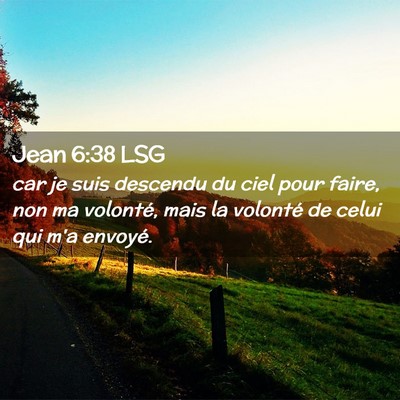 Picture 02 - Jean 6:38 LSG - car je suis descendu du ciel pour faire, non ma - Bible Verse Picture