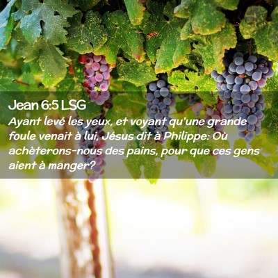 Picture 02 - Jean 6:5 LSG - Ayant levé les yeux, et voyant qu'une grande - Bible Verse Picture