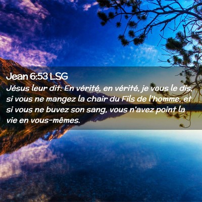 Picture 02 - Jean 6:53 LSG - Jésus leur dit: En vérité, en vérité, je - Bible Verse Picture