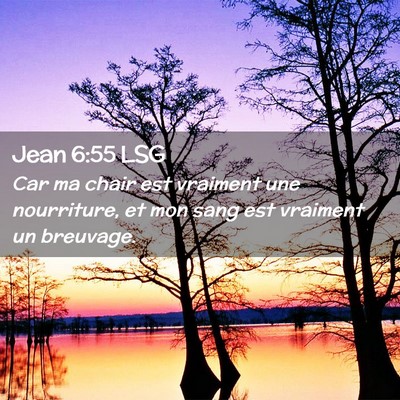 Picture 02 - Jean 6:55 LSG - Car ma chair est vraiment une nourriture, et mon - Bible Verse Picture