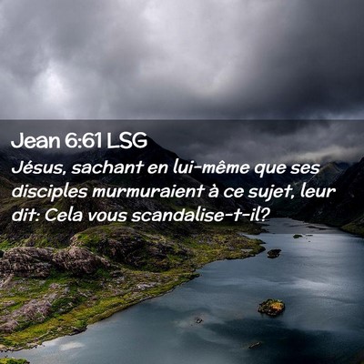 Picture 02 - Jean 6:61 LSG - Jésus, sachant en lui-même que ses disciples - Bible Verse Picture