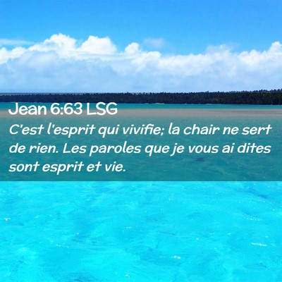 Picture 02 - Jean 6:63 LSG - C'est l'esprit qui vivifie; la chair ne sert de - Bible Verse Picture