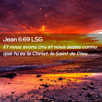 Picture 02 - Jean 6:69 LSG - Et nous avons cru et nous avons connu que tu es - Bible Verse Picture