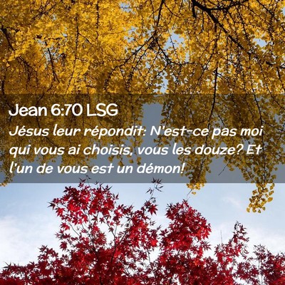 Picture 02 - Jean 6:70 LSG - Jésus leur répondit: N'est-ce pas moi qui vous - Bible Verse Picture