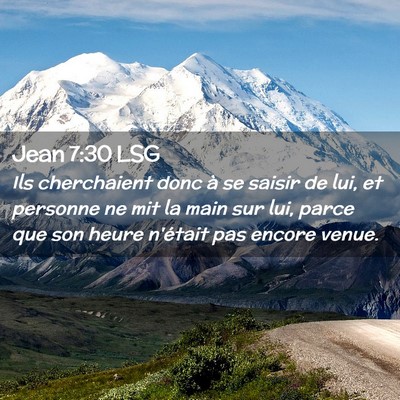 Picture 02 - Jean 7:30 LSG - Ils cherchaient donc à se saisir de lui, et - Bible Verse Picture