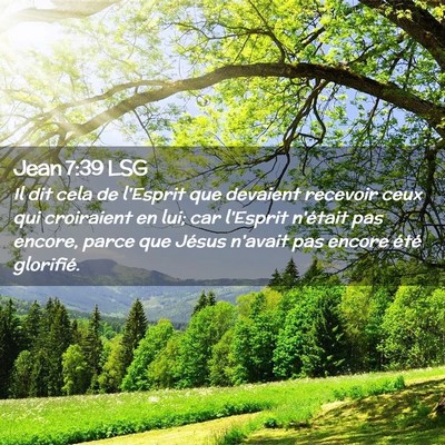 Picture 02 - Jean 7:39 LSG - Il dit cela de l'Esprit que devaient recevoir - Bible Verse Picture