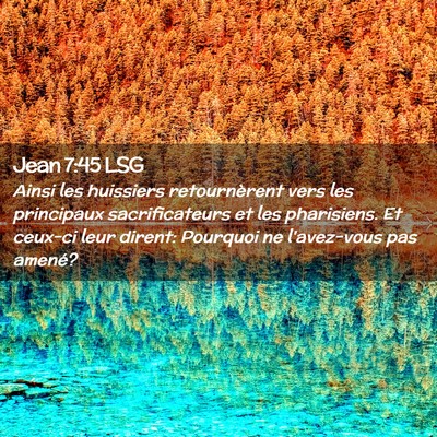 Picture 02 - Jean 7:45 LSG - Ainsi les huissiers retournèrent vers les - Bible Verse Picture