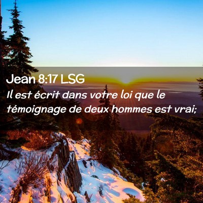 Picture 02 - Jean 8:17 LSG - Il est écrit dans votre loi que le témoignage - Bible Verse Picture
