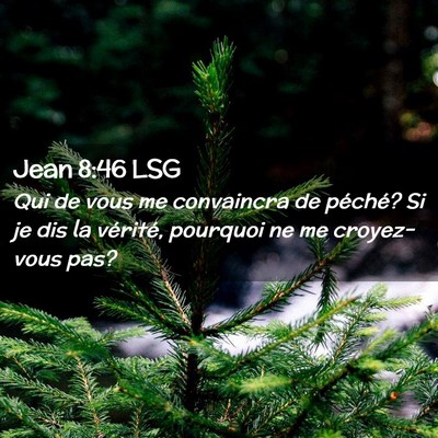 Picture 02 - Jean 8:46 LSG - Qui de vous me convaincra de péché? Si je dis - Bible Verse Picture