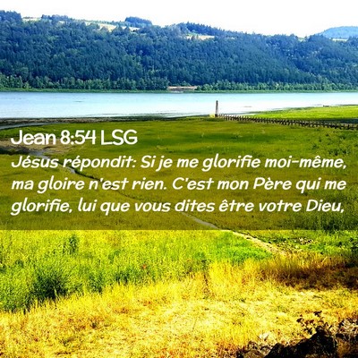 Picture 02 - Jean 8:54 LSG - Jésus répondit: Si je me glorifie moi-même, ma - Bible Verse Picture