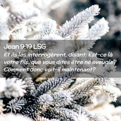 Picture 02 - Jean 9:19 LSG - Et ils les interrogèrent, disant: Est-ce là - Bible Verse Picture