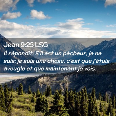 Picture 02 - Jean 9:25 LSG - Il répondit: S'il est un pécheur, je ne sais; - Bible Verse Picture