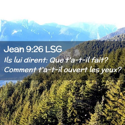 Picture 02 - Jean 9:26 LSG - Ils lui dirent: Que t'a-t-il fait? Comment - Bible Verse Picture