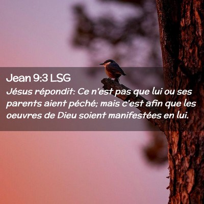 Picture 02 - Jean 9:3 LSG - Jésus répondit: Ce n'est pas que lui ou ses - Bible Verse Picture