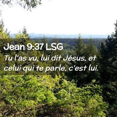 Picture 02 - Jean 9:37 LSG - Tu l'as vu, lui dit Jésus, et celui qui te - Bible Verse Picture