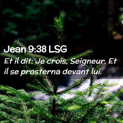 Picture 02 - Jean 9:38 LSG - Et il dit: Je crois, Seigneur. Et il se prosterna - Bible Verse Picture