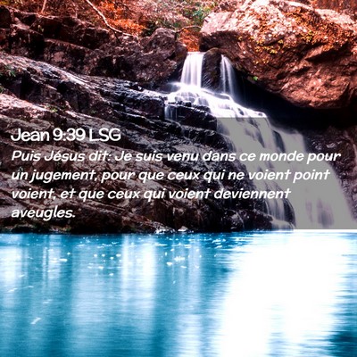 Picture 02 - Jean 9:39 LSG - Puis Jésus dit: Je suis venu dans ce monde pour - Bible Verse Picture