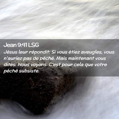 Picture 02 - Jean 9:41 LSG - Jésus leur répondit: Si vous étiez aveugles, - Bible Verse Picture