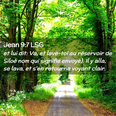 Picture 02 - Jean 9:7 LSG - et lui dit: Va, et lave-toi au réservoir de - Bible Verse Picture