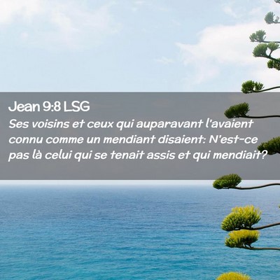 Picture 02 - Jean 9:8 LSG - Ses voisins et ceux qui auparavant l'avaient - Bible Verse Picture