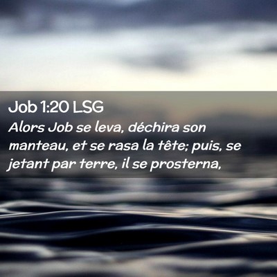 Picture 02 - Job 1:20 LSG - Alors Job se leva, déchira son manteau, et se - Bible Verse Picture