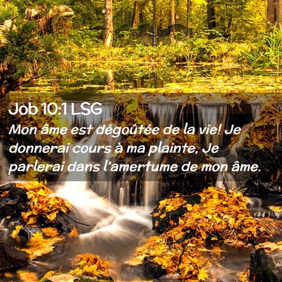 Picture 02 - Job 10:1 LSG - Mon âme est dégoûtée de la vie! Je donnerai - Bible Verse Picture