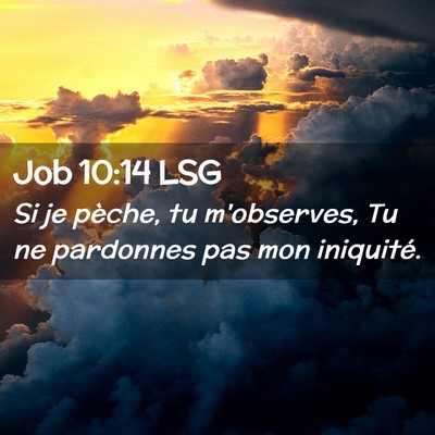 Picture 02 - Job 10:14 LSG - Si je pèche, tu m'observes, Tu ne pardonnes pas - Bible Verse Picture