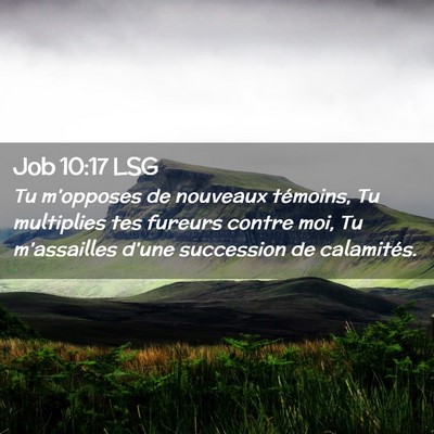 Picture 02 - Job 10:17 LSG - Tu m'opposes de nouveaux témoins, Tu multiplies - Bible Verse Picture