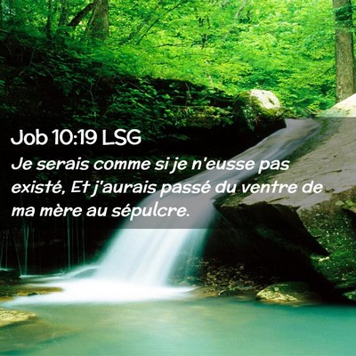 Picture 02 - Job 10:19 LSG - Je serais comme si je n'eusse pas existé, Et - Bible Verse Picture