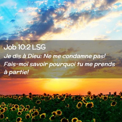 Picture 02 - Job 10:2 LSG - Je dis à Dieu: Ne me condamne pas! Fais-moi - Bible Verse Picture