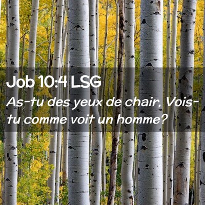 Picture 02 - Job 10:4 LSG - As-tu des yeux de chair, Vois-tu comme voit un - Bible Verse Picture